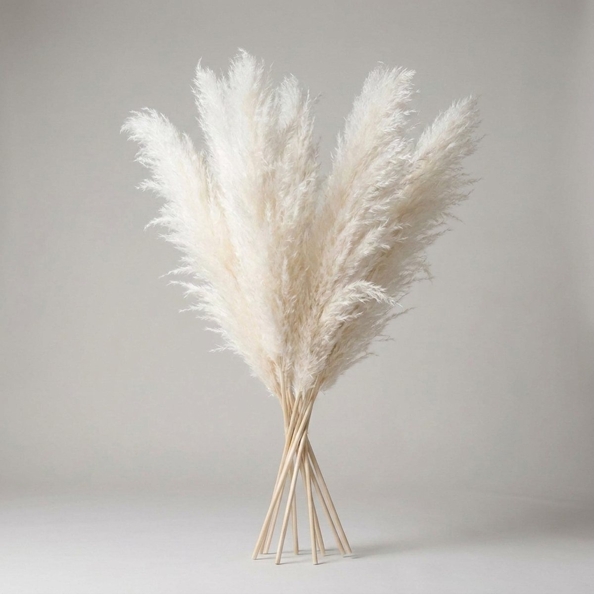 Kunsttakken Pampasgras 65cm Naturel Wit Beige Roze Droogbloemen Vaas Decoratie Boho Stijl Woonkamer Interieur | Sulvida