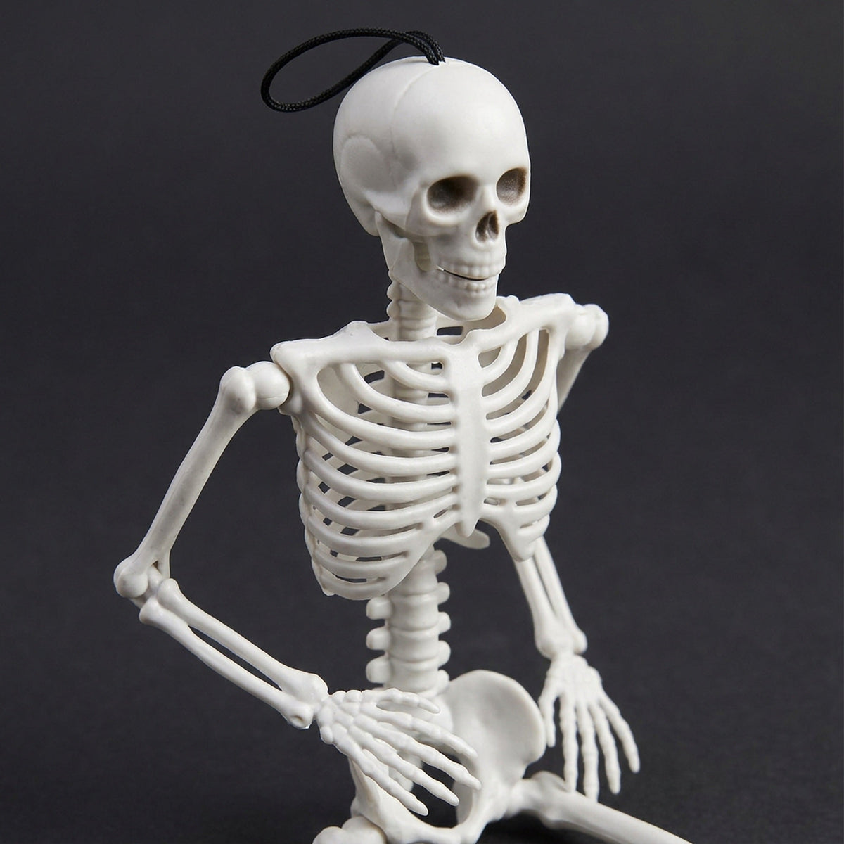 Poseerbaar Skelet 40 cm Wit Kunststof Halloween Decoratie Beweegbare Ledenpop Tafelmodel Griezelig Feest | Sulvida