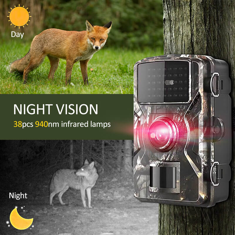 Wildcamera met Nachtzicht 1080p Waterdicht – Bewegingssensor IR LED Observatiecamera – 12MP Buitencamera | Sulvida
