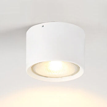 Plafondspot Cilindrisch LED Verlichting Modern Metaal Acryl voor Woonkamer Slaapkamer Stijlvol Minimalistisch | Sulvida