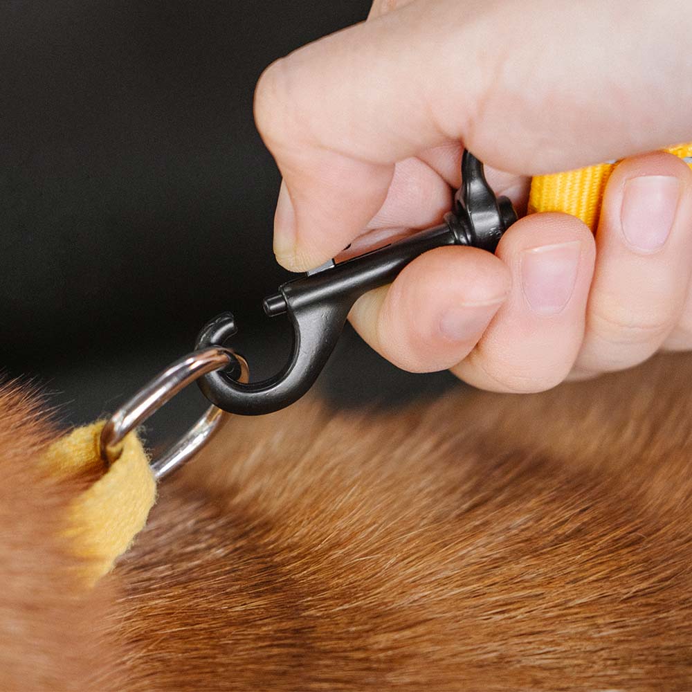 Autogordel voor Honden Verstelbaar Reflecterend Veiligheidsriem Harnas voor Veilig Auto Reizen met Huisdieren | Sulvida