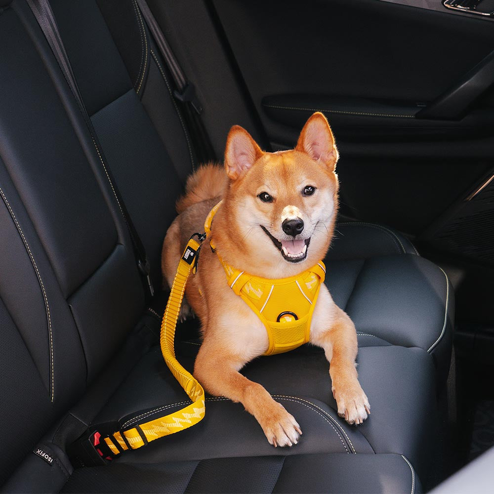 Autogordel voor Honden Verstelbaar Reflecterend Veiligheidsriem Harnas voor Veilig Auto Reizen met Huisdieren | Sulvida
