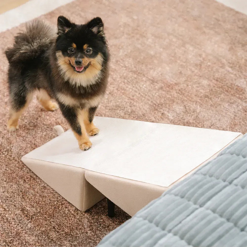 Houten Huisdierentrap met Anti-Slip Trapvlakken Crème Grijs Zwart voor Honden en Katten Bank Bed Meubels | Sulvida