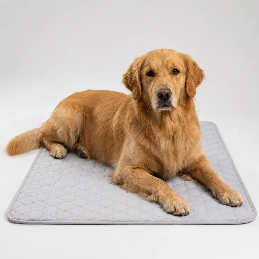 Koelmat voor Huisdieren Wasbaar Verkoelend Hondenmat Kattenmat Zomer Koeling Hond Kat XS S M L XL XXL | Sulvida