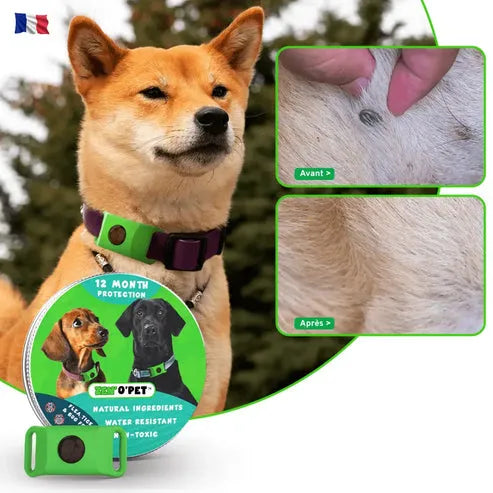 Antiparasitaire halsband hond 8 maanden bescherming tegen vlooien en teken natuurlijk waterbestendig comfort | Sulvida