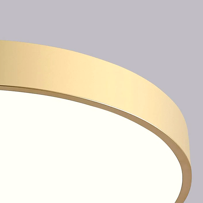 Ronde LED-plafondlamp dimbaar met modern design voor woonkamer slaapkamer gang en hal stijlvol energiezuinig | Sulvida