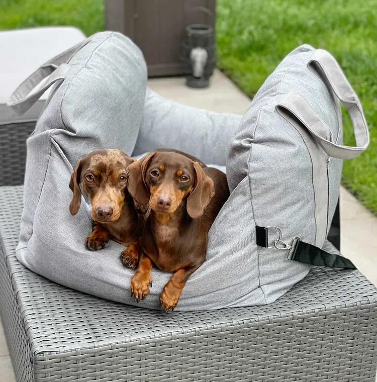 Autostoel voor Honden met Veiligheidsgordel Zacht Reiskussen Wasbare Hoes Comfort Thuis en Onderweg Bescherming | Sulvida