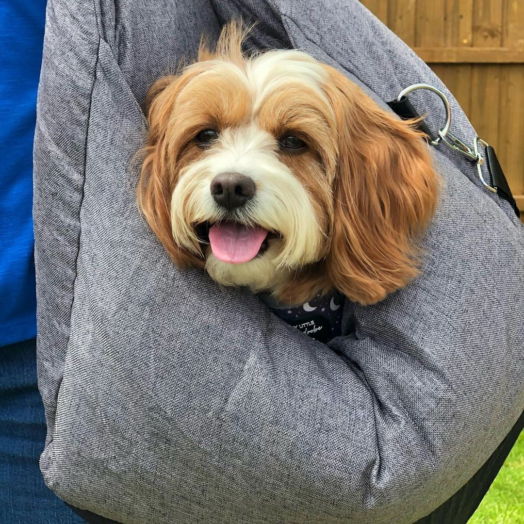 Autostoel voor Honden met Veiligheidsgordel Zacht Reiskussen Wasbare Hoes Comfort Thuis en Onderweg Bescherming | Sulvida