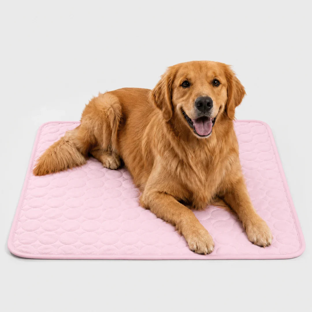 Koelmat voor Huisdieren Wasbaar Verkoelend Hondenmat Kattenmat Zomer Koeling Hond Kat XS S M L XL XXL | Sulvida
