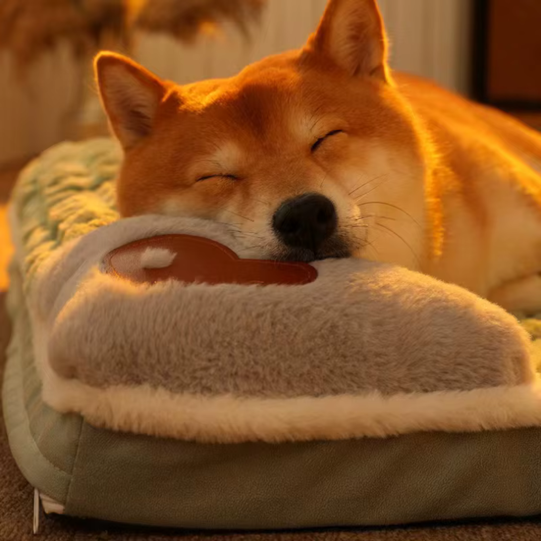 Orthopedisch Huisdierbed Memory Foam Honden Katten Wasbare Afneembare Hoes Comfortabel Slaapplaats Gewrichtsverzorging | Sulvida