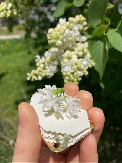 Petite presse à fleurs de poche faite à la main, herbier botanique souvenir pour sécher des fleurs sauvages, cadeau créatif | Sulvida