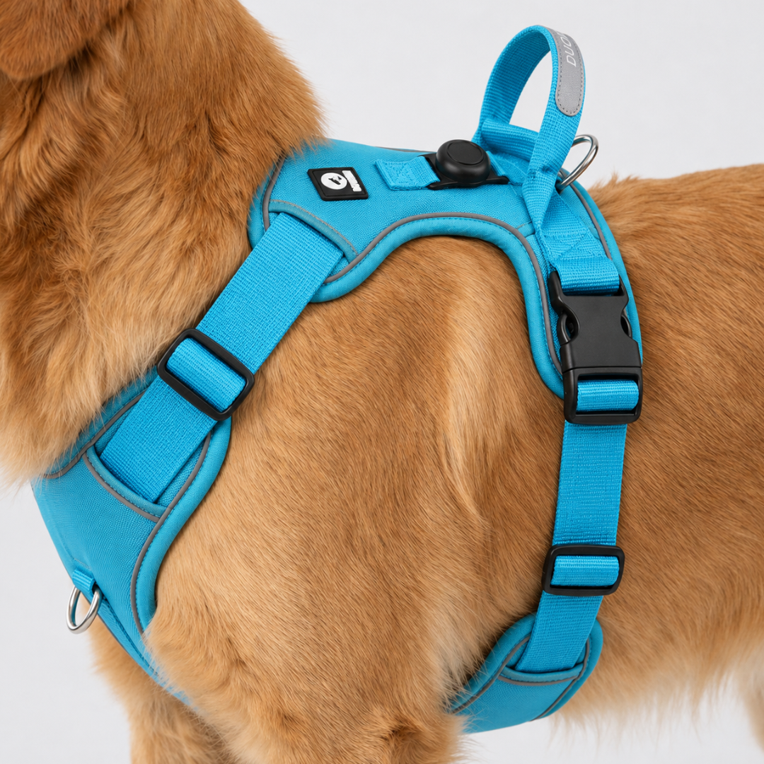 No-Pull Hondentuig Verstelbaar Reflecterend Borstharnas Comfortabel Veilig Wandelen Honden Alle Maten | Sulvida