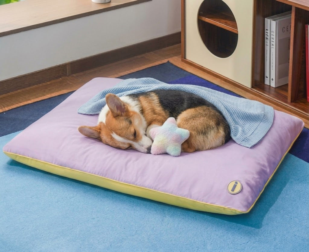 Lit rafraîchissant pour chien 50x38cm, couchage frais pour animaux, coussin confortable et rafraîchissant pour chiens et chats en été | Sulvida