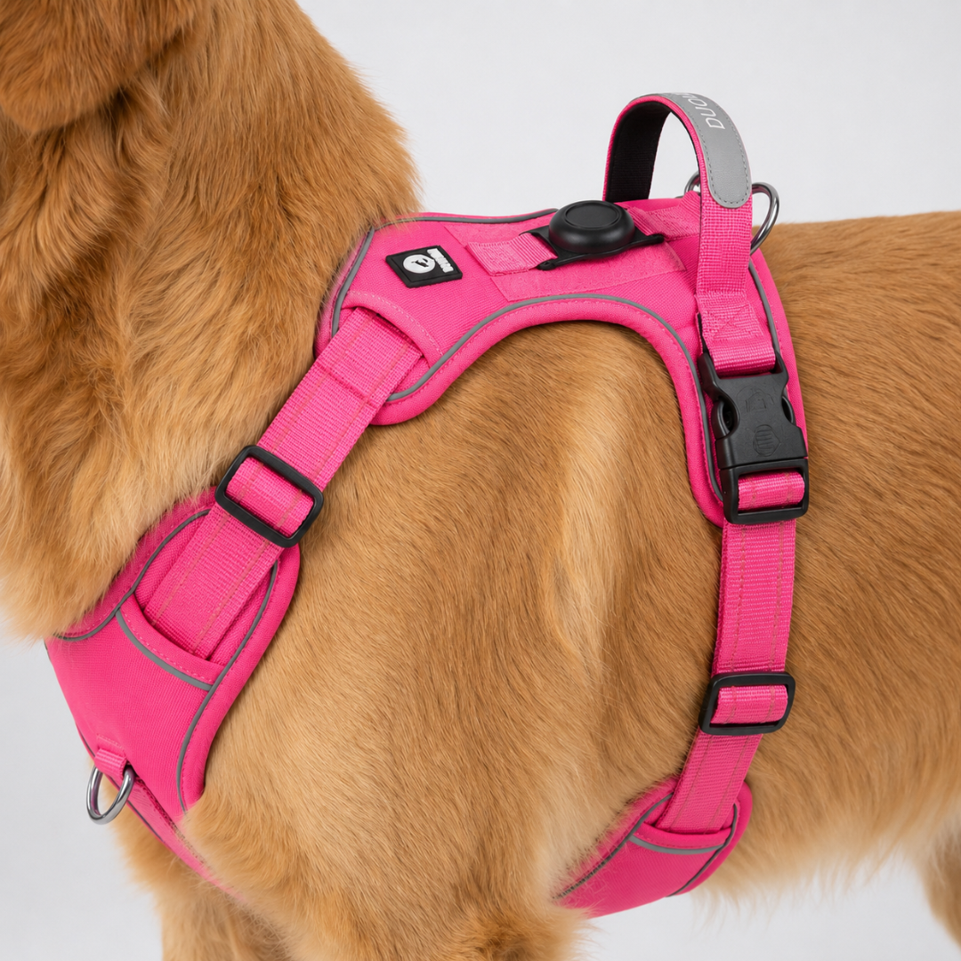 No-Pull Hondentuig Verstelbaar Reflecterend Borstharnas Comfortabel Veilig Wandelen Honden Alle Maten | Sulvida