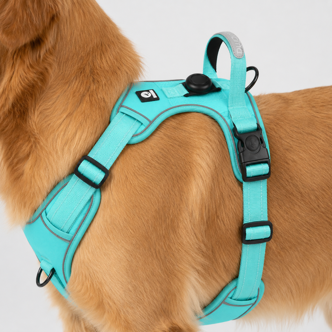 No-Pull Hondentuig Verstelbaar Reflecterend Borstharnas Comfortabel Veilig Wandelen Honden Alle Maten | Sulvida