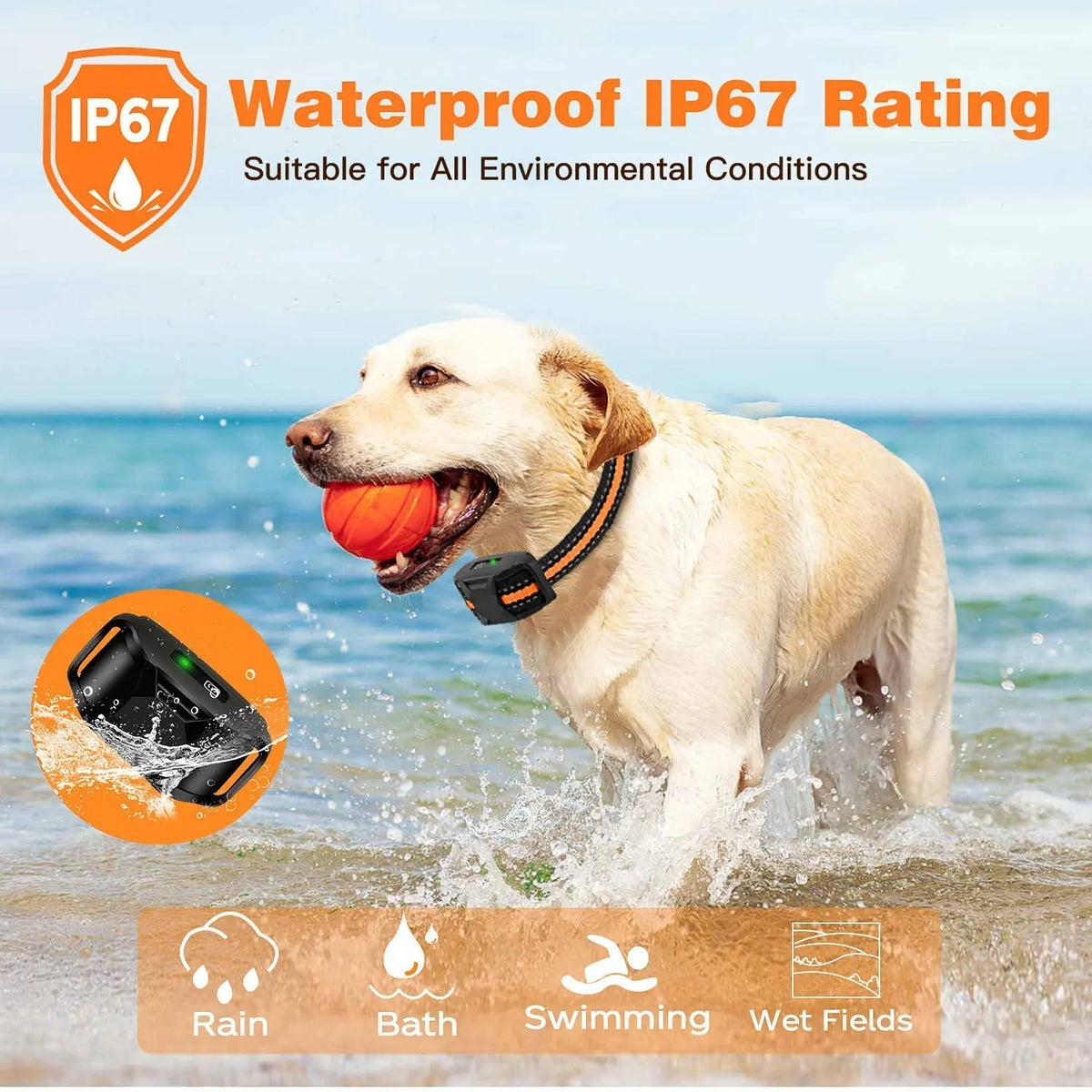Trainingsband voor Honden op Afstand 1000m Bereik Waterdicht & Trilstand Verstelbaar voor Alle Rassen | Sulvida
