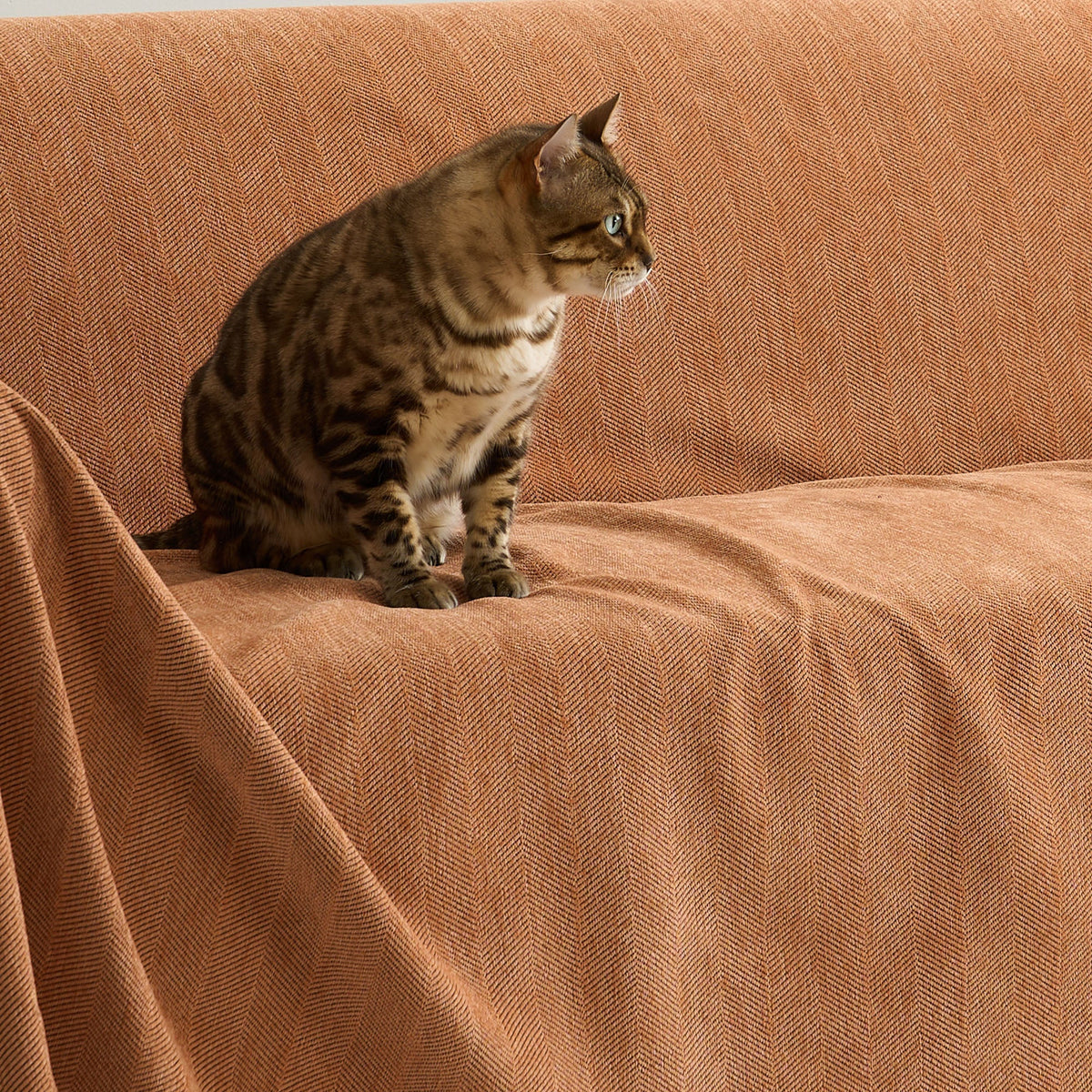 Geweven Bankhoes Visgraat Patroon Meubelbeschermer Huisdiervriendelijk Wasbaar Decoratief Sofa Woonkamer | Sulvida