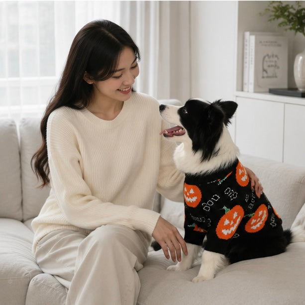 Gebreide Pompoen Huisdierentrui voor Katten en Honden – Warme Feestelijke Winterkleding voor Halloween | Sulvida