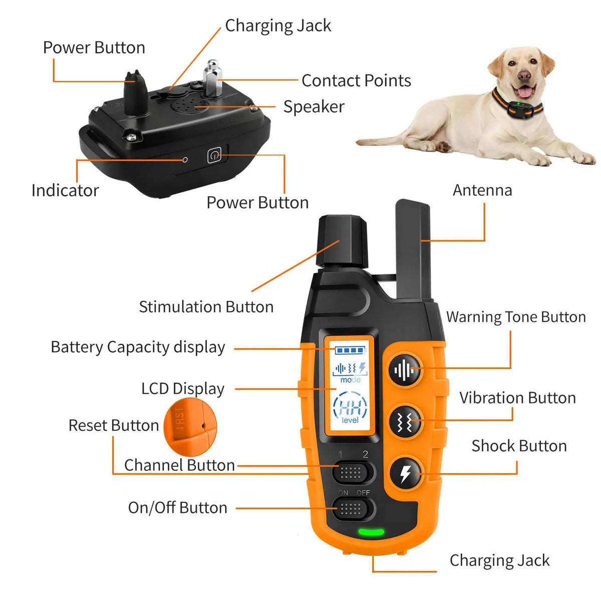 Trainingsband voor Honden op Afstand 1000m Bereik Waterdicht & Trilstand Verstelbaar voor Alle Rassen | Sulvida