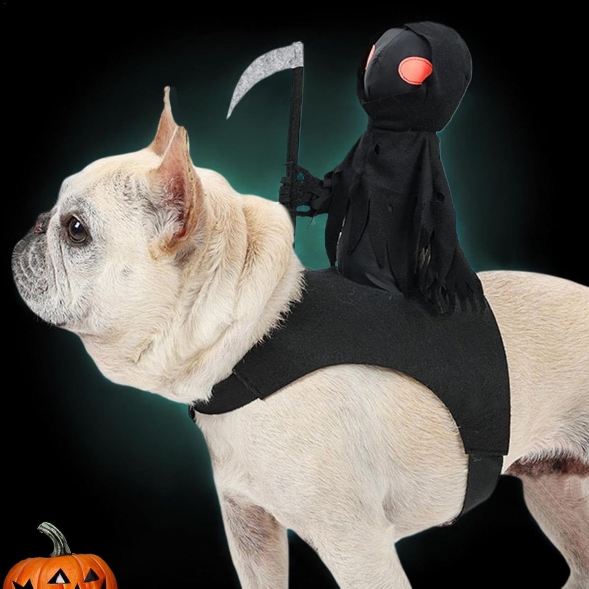 Hondenkostuum Skelet Zwart – Feestelijke Verkleedoutfit voor Hond, Grappige Carnaval Party Kleding Huisdier | Sulvida