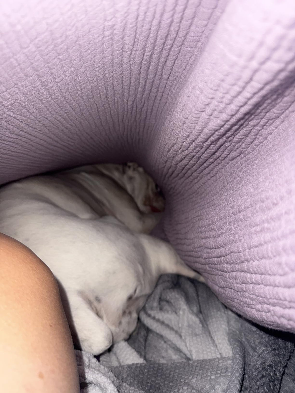 Gazen Katoenen Deken Dubbellaags Luchtig Ademend Zacht Licht Zomerdeken Mousseline Sprei King Queen Size | Sulvida