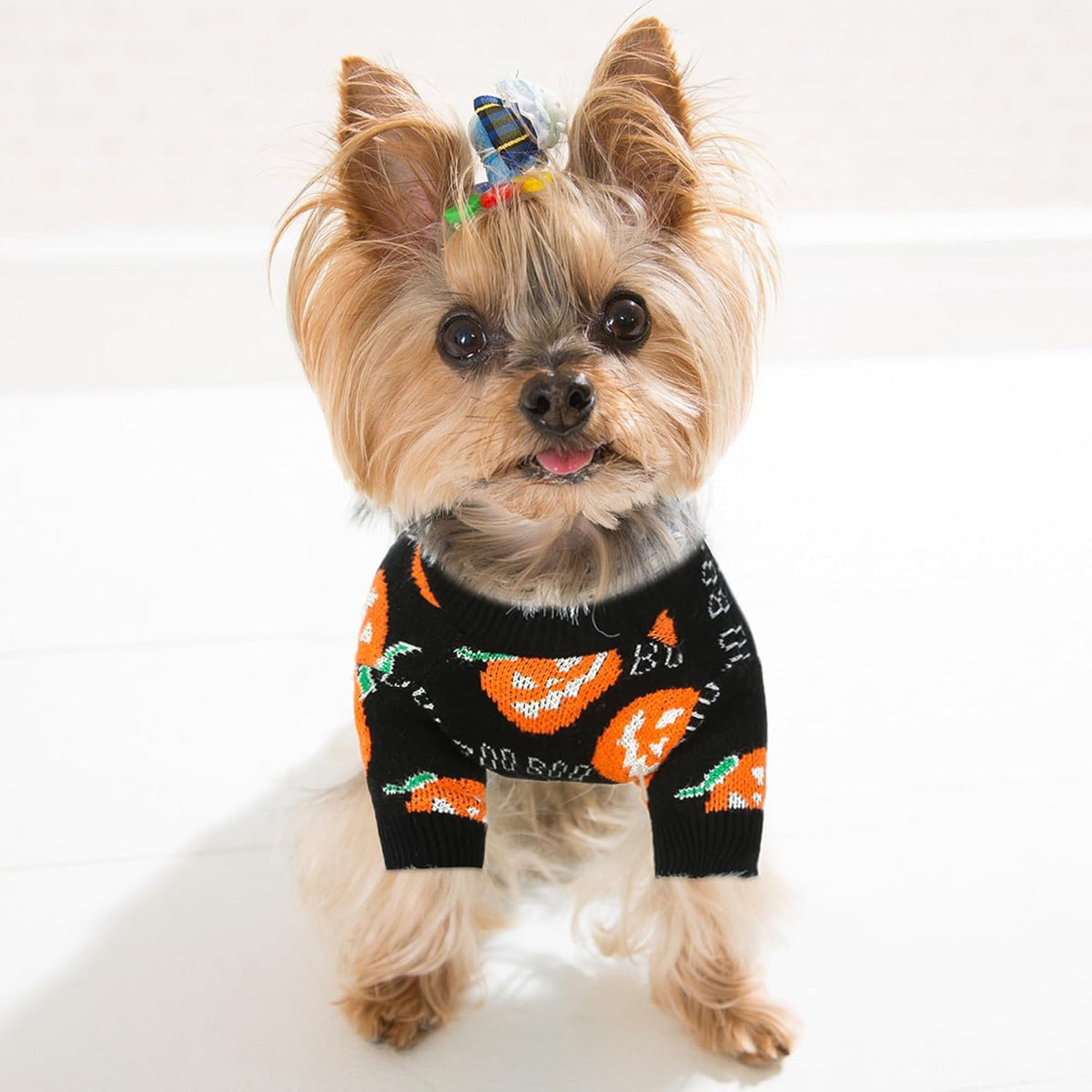Gebreide Pompoen Huisdierentrui voor Katten en Honden – Warme Feestelijke Winterkleding voor Halloween | Sulvida