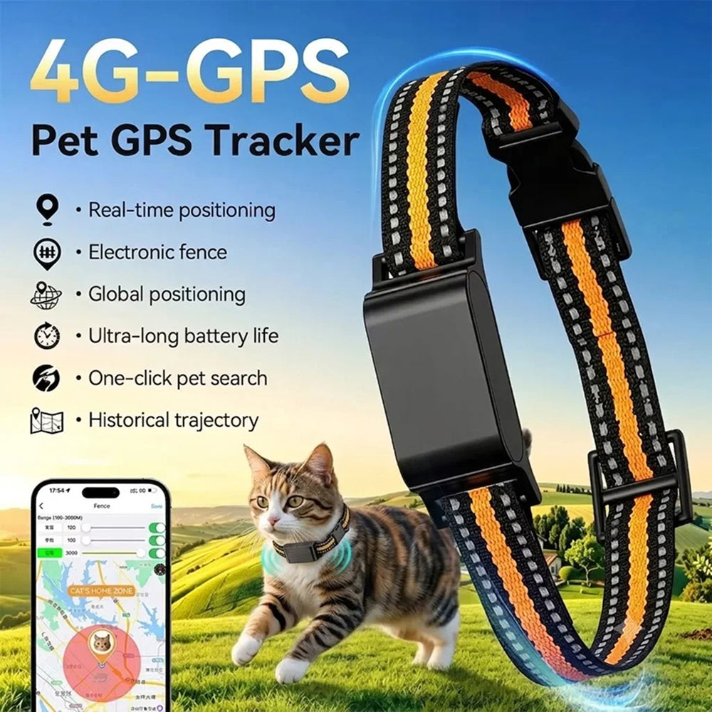 Traceur GPS pour chat avec localisation en temps réel, Wi-Fi et positionnement 4G - application gratuite pour iOS et Android | Sulvida