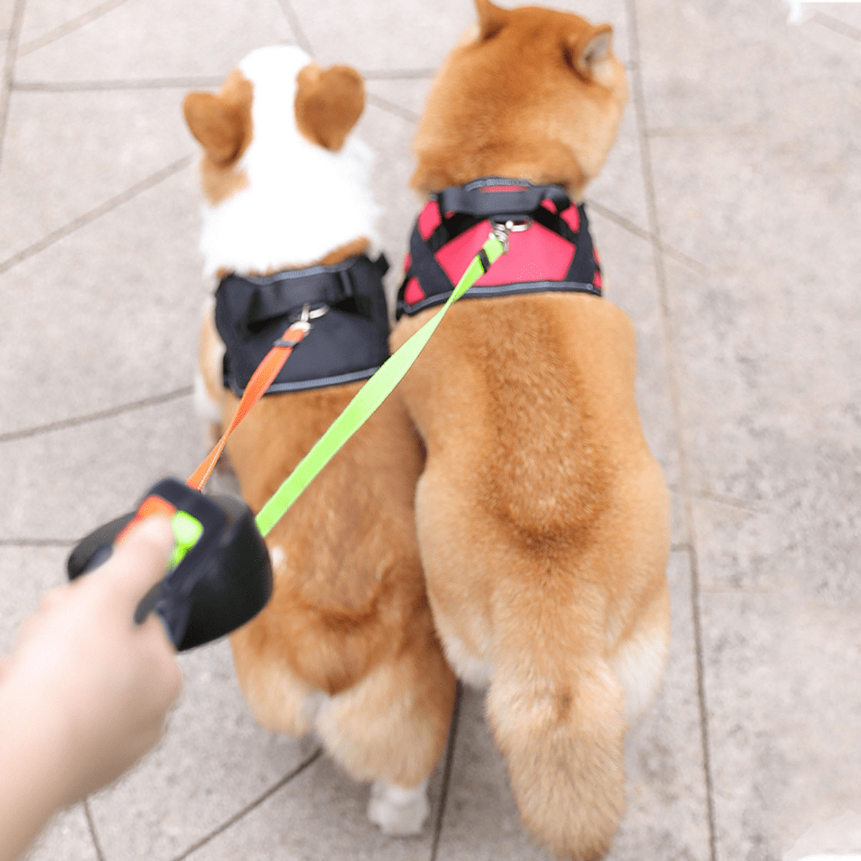 Intrekbare Dubbele Hondenriem met Zaklamp en 360° Draaifunctie voor Twee Honden tot 40 kg per Hond - Ontwarringsmechanisme Reflecterende Strips Eenhandige Bediening Veilige Avondwandeling | Sulvida