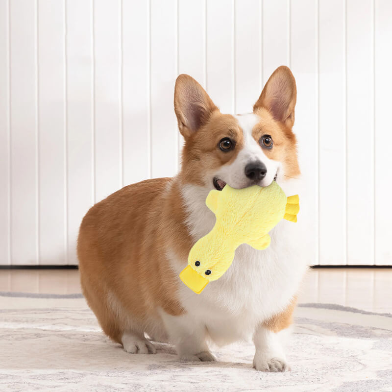 Speels Pluche Speelgoed Eend met Pieper voor Honden Knuffeldier Knuffelvriend Huisdierspeelgoed 37 × 25 cm | Sulvida