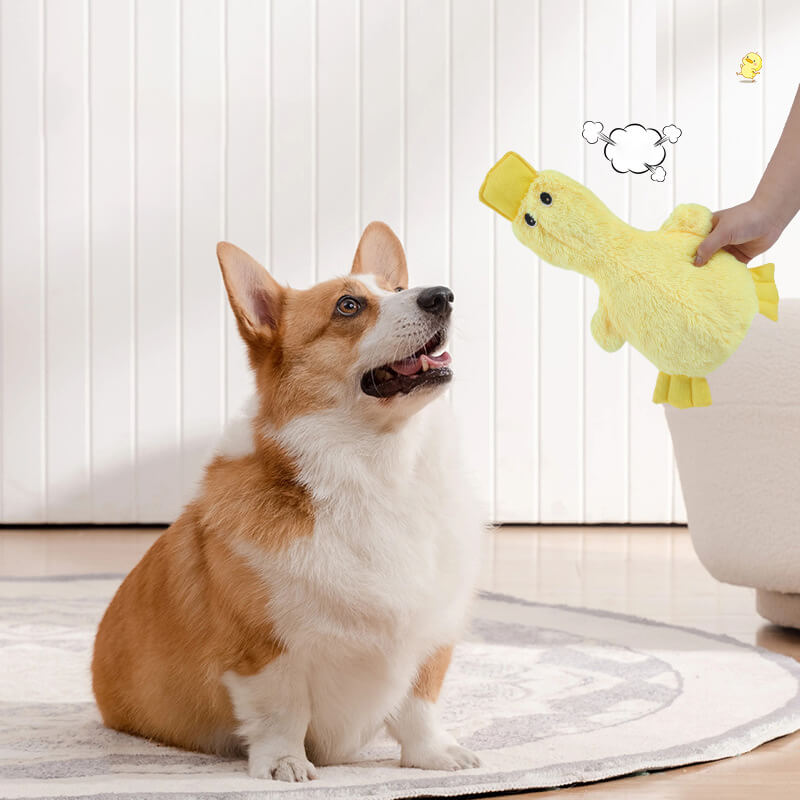 Speels Pluche Speelgoed Eend met Pieper voor Honden Knuffeldier Knuffelvriend Huisdierspeelgoed 37 × 25 cm | Sulvida