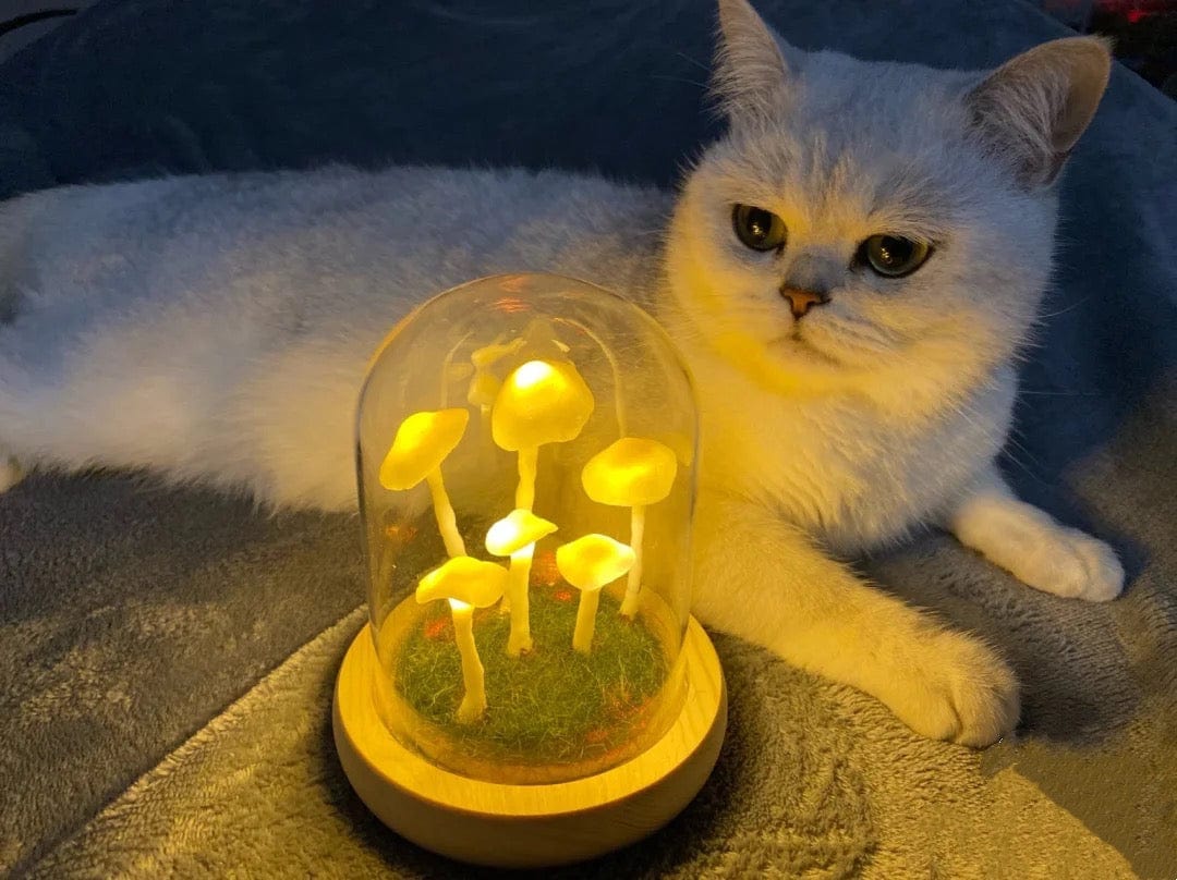 DIY Paddenstoellamp Glas Hout Batterij Tafellamp Warm Wit LED Nachtlampje Creatief Decoratief Woonkamer | Sulvida