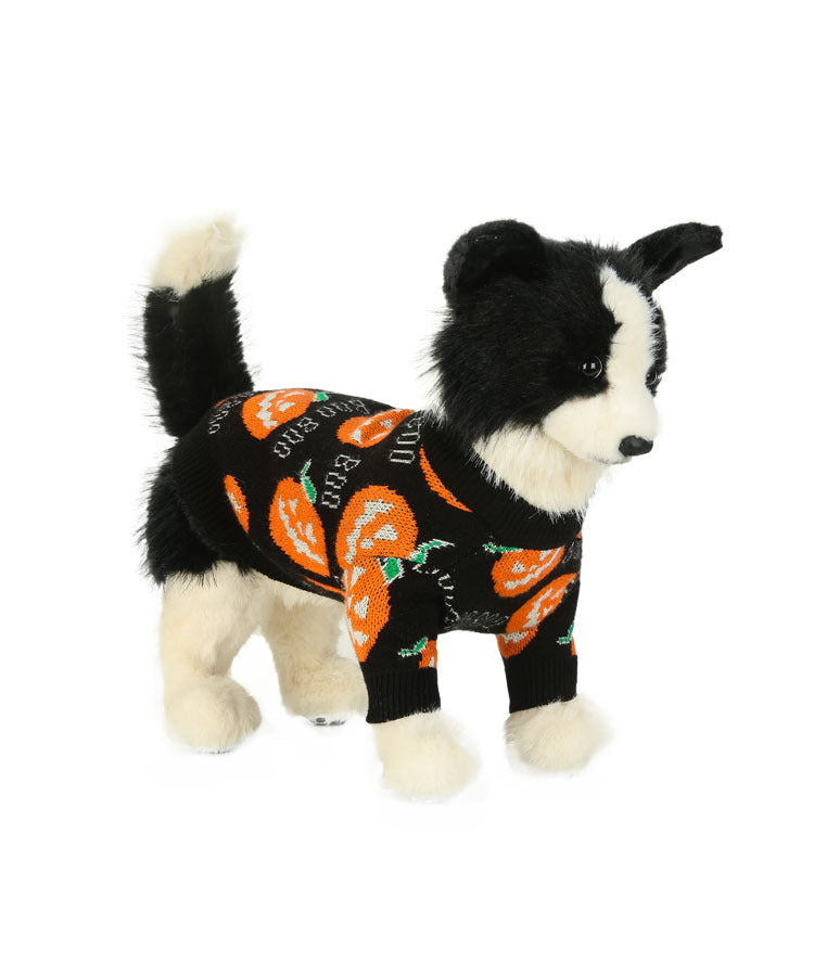 Gebreide Pompoen Huisdierentrui voor Katten en Honden – Warme Feestelijke Winterkleding voor Halloween | Sulvida