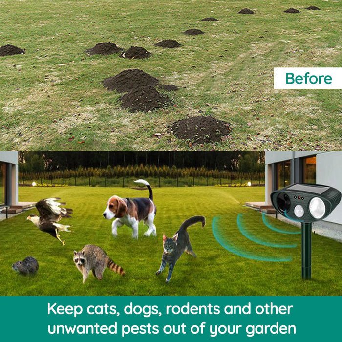 Ultrasone Dierenverjager op Zonne-energie met Bewegingssensor voor Tuin en Erf | Veilig Katten Eekhoorns Ratten Weren | Sulvida