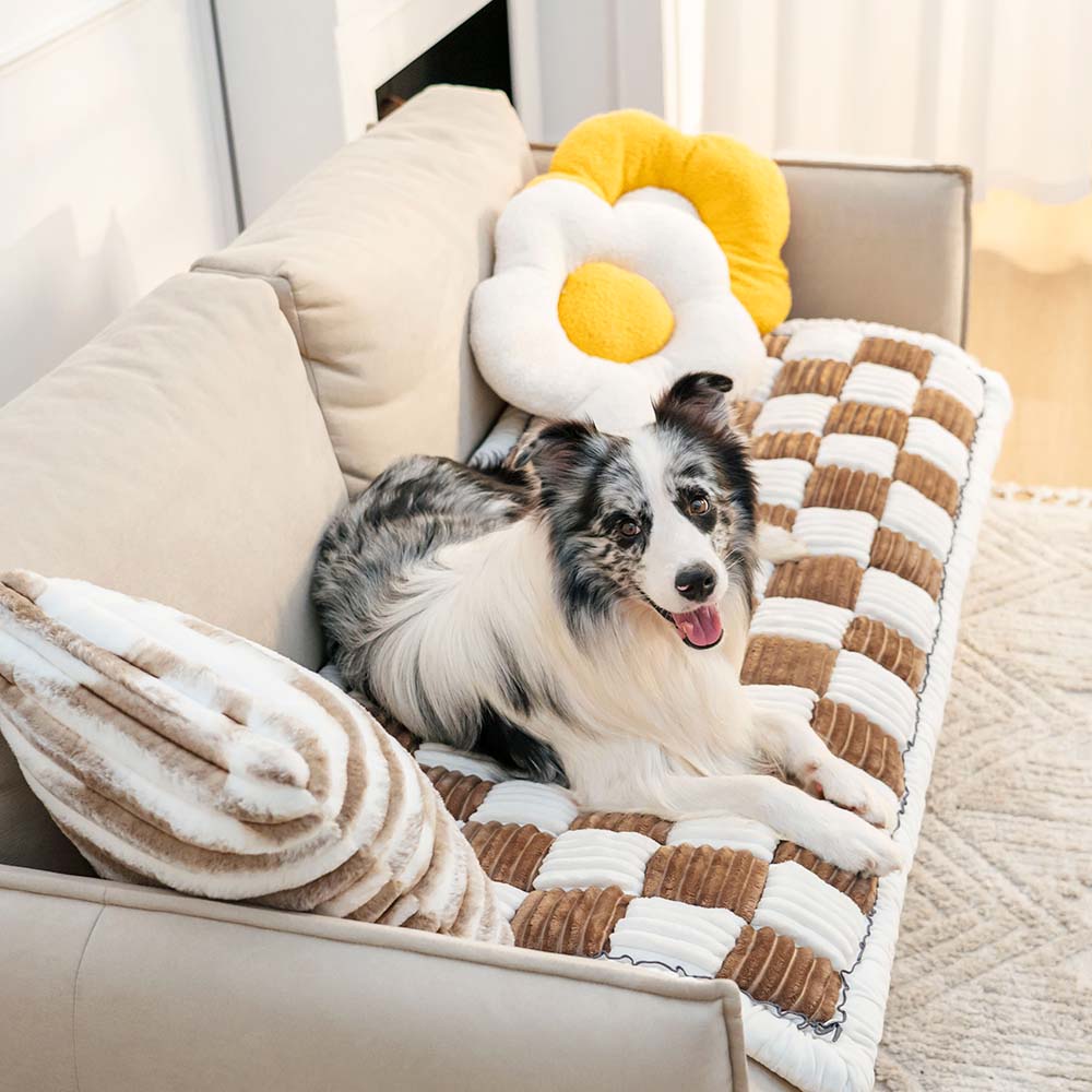 Chenille Huisdierenmat Vierkant Geruit Crème 50x50 cm Anti-slip Wasbaar Hondendeken Kattenmat Beschermer | Sulvida