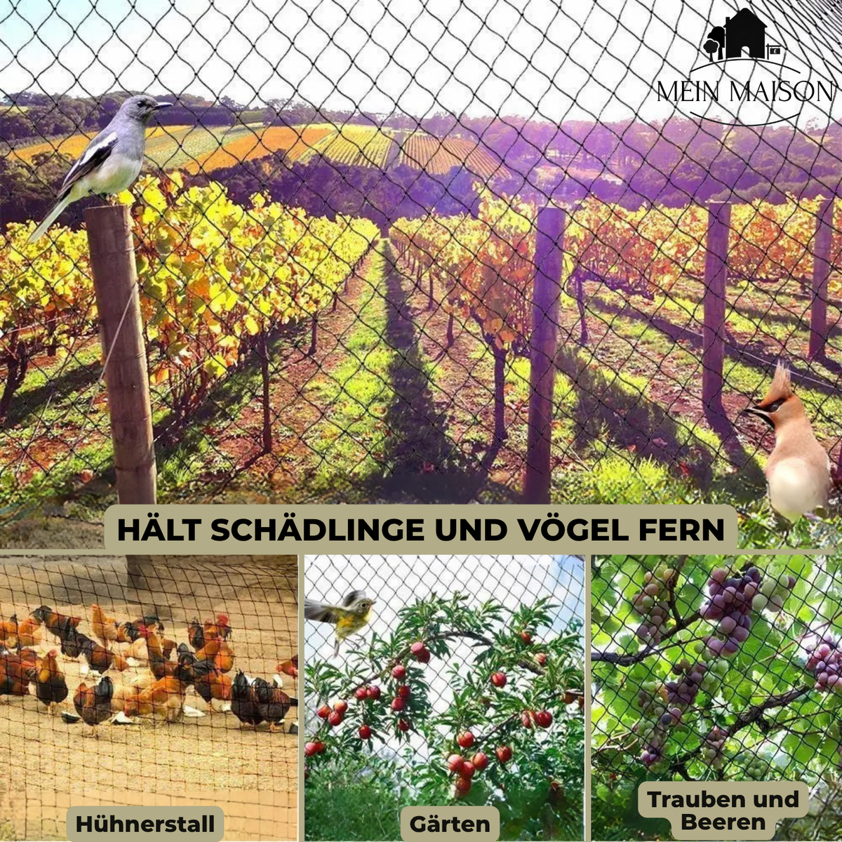 Tuinnet UV-bestendig 2-4M Nylon Scheurbestendig Plantenbescherming tegen Vogels Insecten Hazen voor Tuin | Sulvida