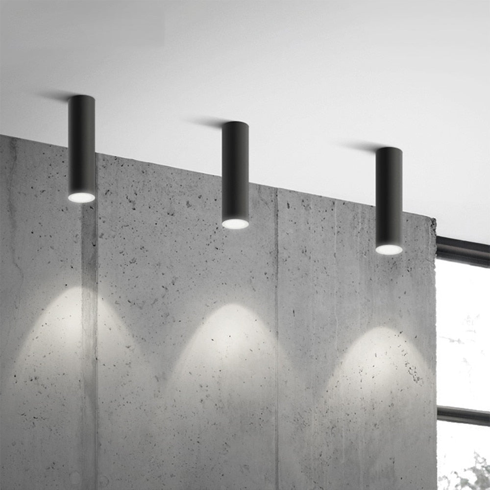 Opbouw LED Plafondspot Cilindervorm Zwart Wit Dimbaar Modern Spot Lamp Kantoor Woonkamer Hal Strak Design | Sulvida