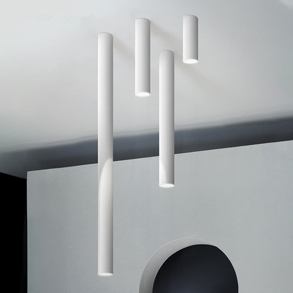 Opbouw LED Plafondspot Cilindervorm Zwart Wit Dimbaar Modern Spot Lamp Kantoor Woonkamer Hal Strak Design | Sulvida