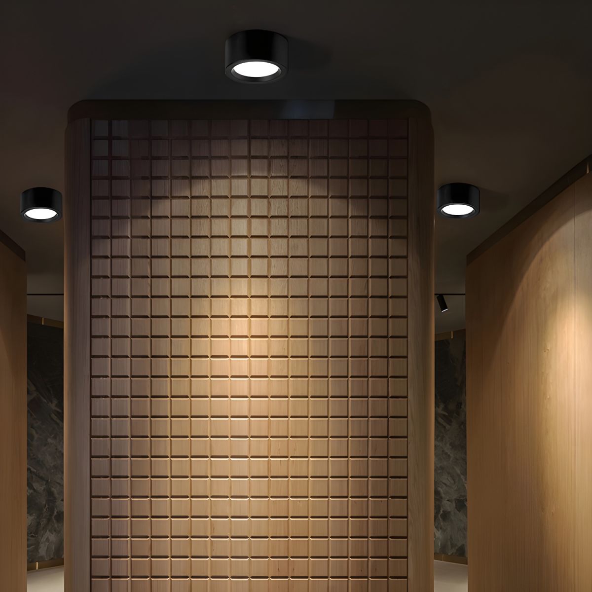 Compacte opbouw plafondlamp rond ijzer LED 7-21W dimbaar wit zwart modern interieur woonkamer slaapkamer | Sulvida