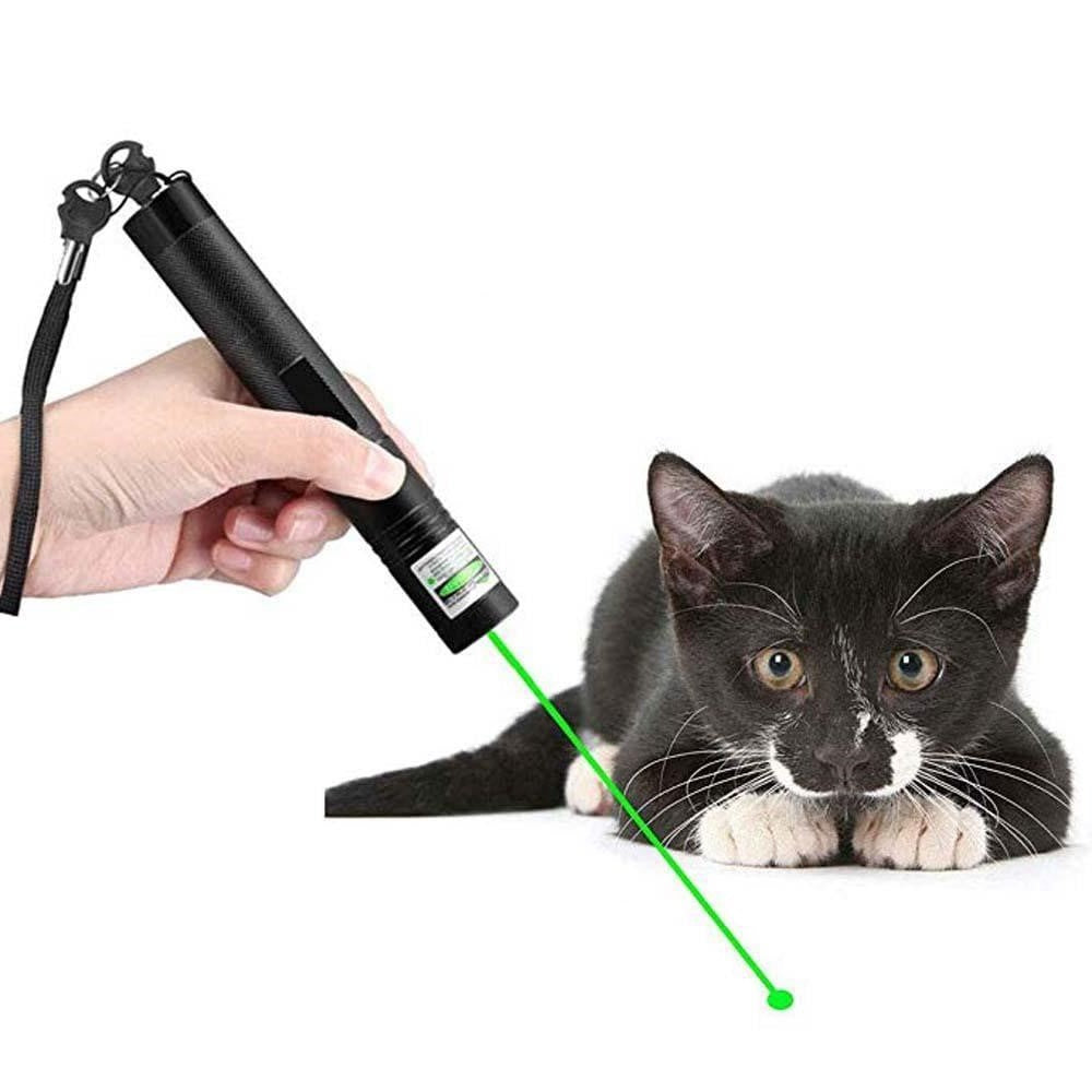 Laserpointer Groen en Rood Professionele Presentatietool Precisie Laserlicht Outdoor Zakformaat Vergadering | Sulvida