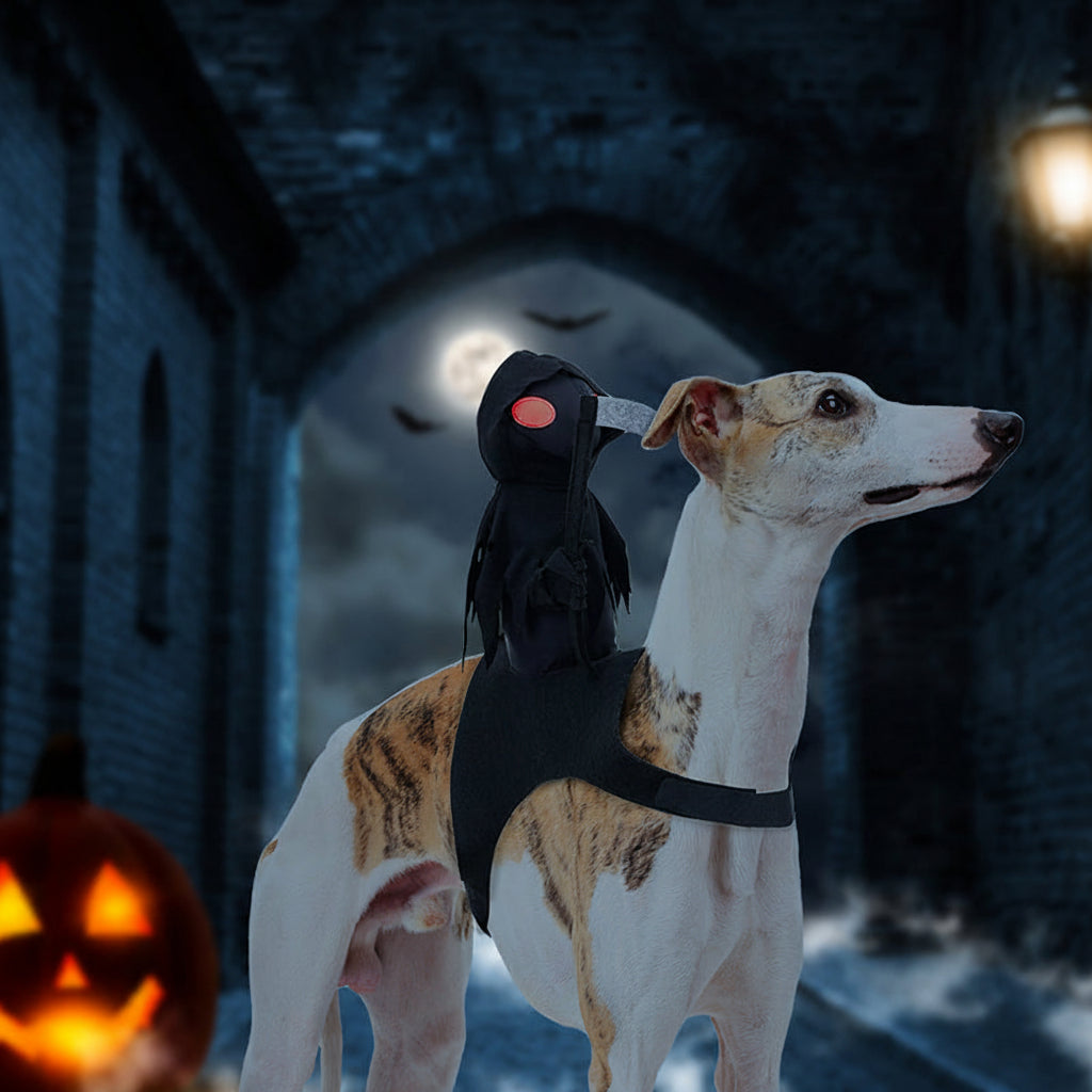 Huisdier Ridder Kostuum Halloween – Grappig Verkleedpak voor Hond en Kat met Capuchon en Middeleeuwse Krijgerslook | Sulvida