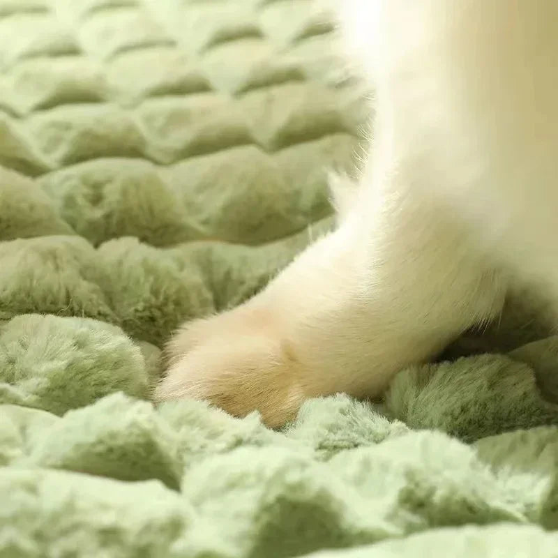 Orthopedisch Huisdierbed Memory Foam Honden Katten Wasbare Afneembare Hoes Comfortabel Slaapplaats Gewrichtsverzorging | Sulvida