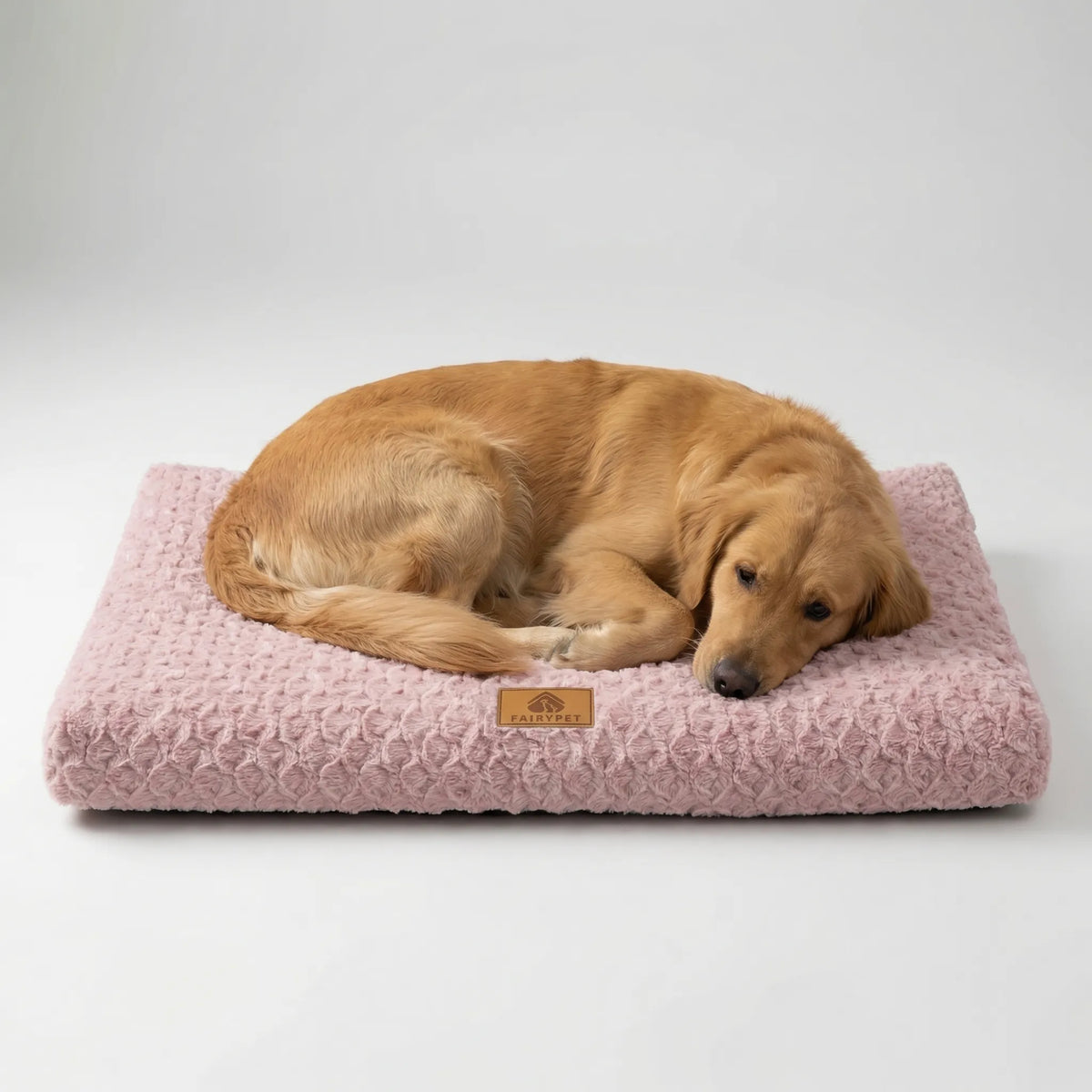 Orthopedische Hondenmat Plat Schuimmatras Wasbare Hoes Antislip Basis Comfortabel Huisdierenbed Hond | Sulvida
