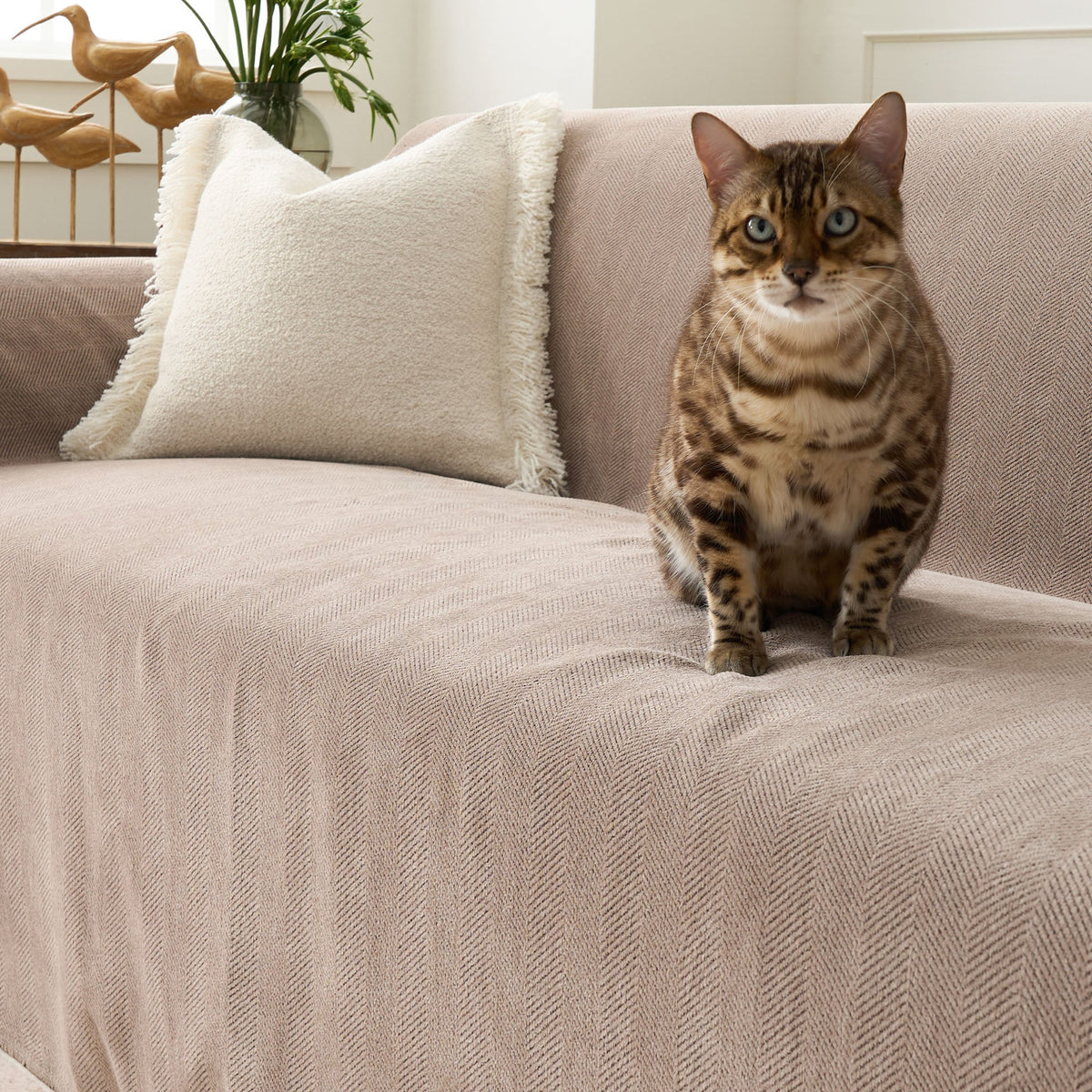 Geweven Bankhoes Visgraat Patroon Meubelbeschermer Huisdiervriendelijk Wasbaar Decoratief Sofa Woonkamer | Sulvida
