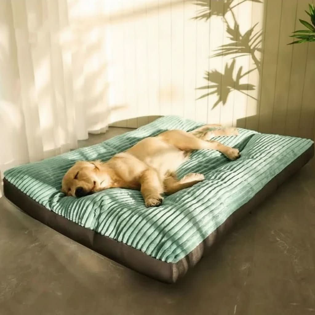 Orthopedisch Hondenkussen Gewrichtsvriendelijk met Vormvast Vulling Comfortabel Ligbed voor Kleine tot Grote Honden | Sulvida