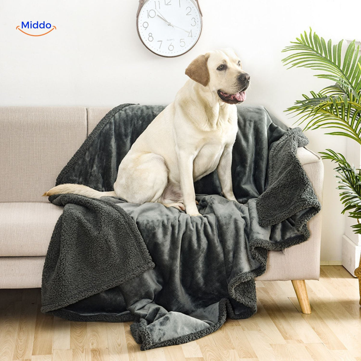 Beschermende deken waterbestendig katoen velours voor hond kat huisdieren 50×70 cm XS grijs bruin roze | Sulvida