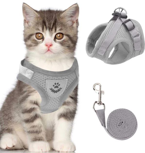 Verstelbaar Kattentuig Ademend met Reflecterende Accenten en Riem voor Veilig Buiten Wandelen Katten | Sulvida