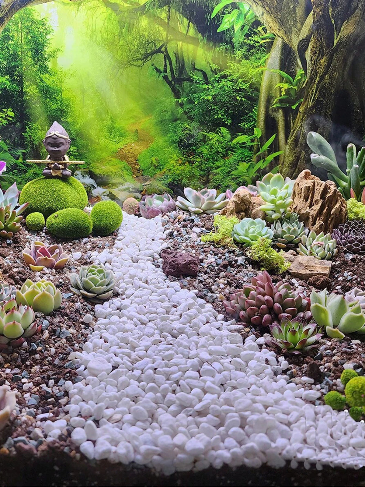 Pierres décoratives, gravier blanc pour vase, décoration, bonsaï, plantes, jardin, extérieur, cactus, intérieur | Sulvida
