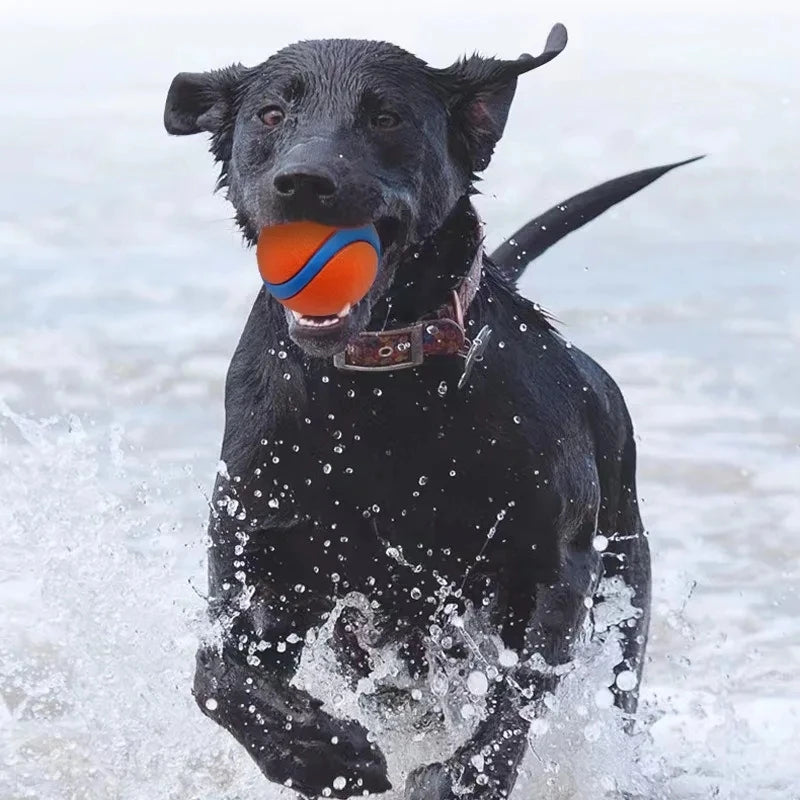 Rubber Speelbal voor Honden Veerkrachtig Werpbal Kauwspeelgoed Training Actief Spelen Huisdierenbal Duurzaam | Sulvida