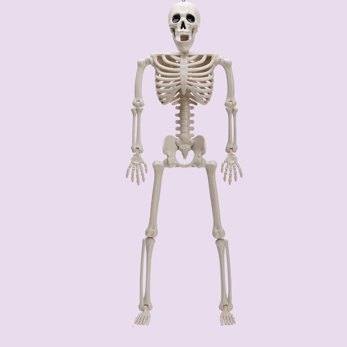 Verstelbaar Skelet Ophangdecoratie Halloween met Bewegende Gewrichten Griezelige Feestdecoratie Binnen Buiten | Sulvida