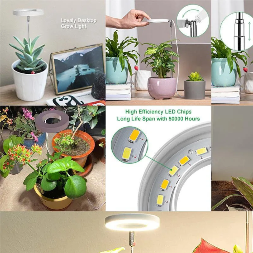 Groeilamp met Verstelbaar Statief voor Kamerplanten LED Volledig Spectrum 20-65cm Indoor Plantengroei | Sulvida